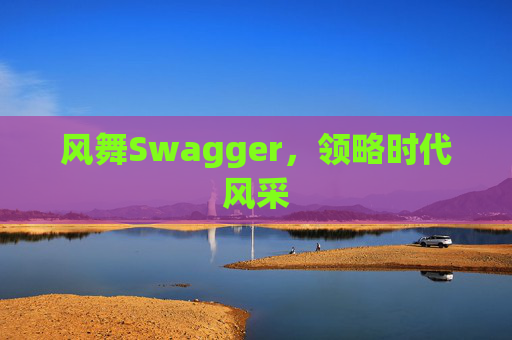风舞Swagger，领略时代风采